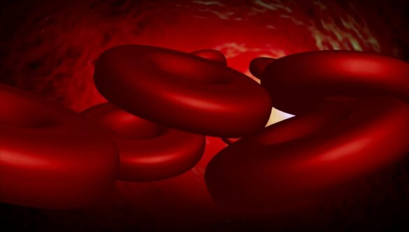 Blood Cells Inside Veins