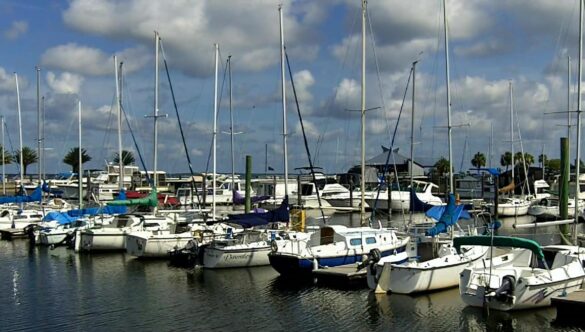 Harbor Marina Boats