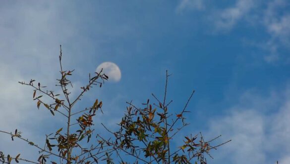 Moon and Clouds