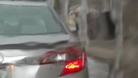 Rainy Windshield