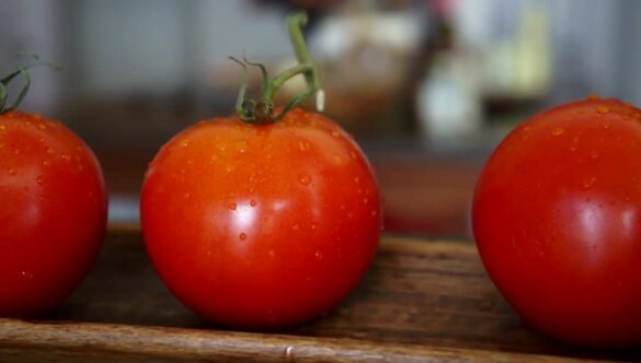 Fresh Tomatoes