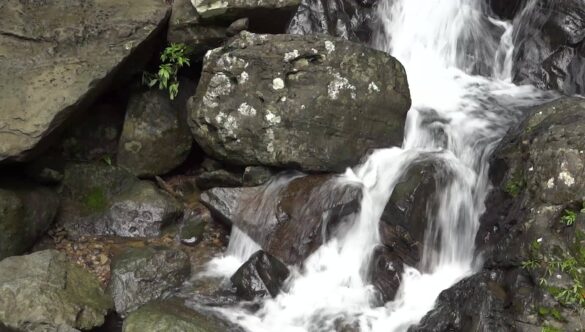 Waterfall in Forest Rocks