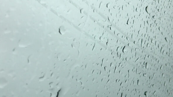 Rain on Window