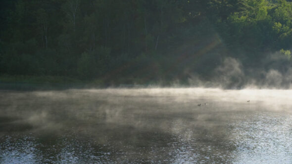 Foggy Lake