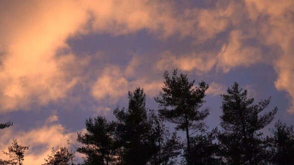 Sunset Clouds