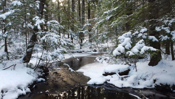 Winter Stream