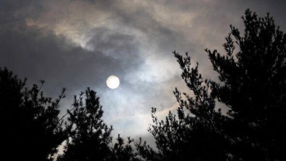 Clouds Over Trees