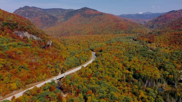 Autumn Aerial