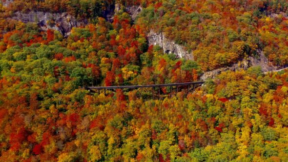 Fall Aerial