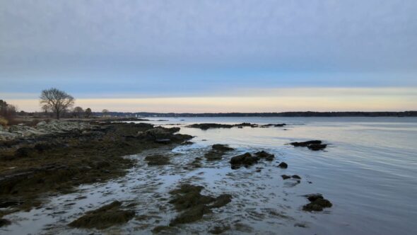 Coastal Landscape