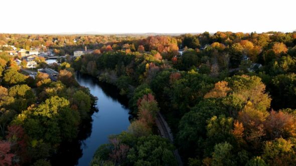 Fall Autumn Landscape