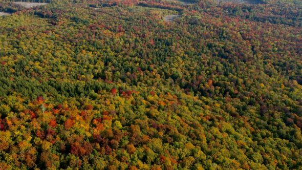 Scenic Autumn Foliage