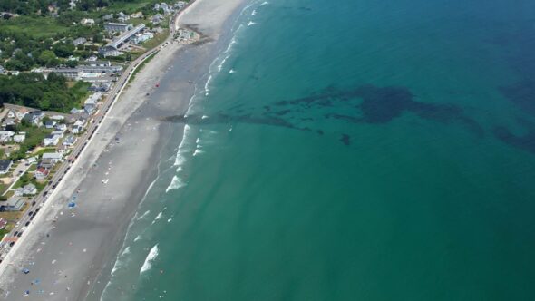 Beach Coast Aerial