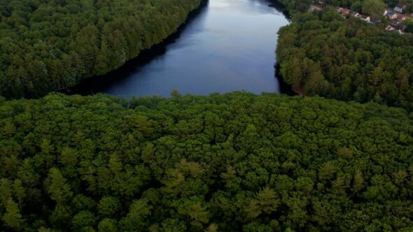 Forest River Aerial