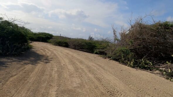 Dirt Road Driving