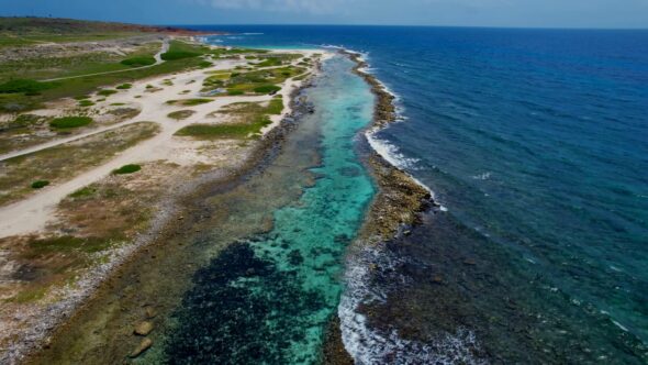 Tropical Beach Coast