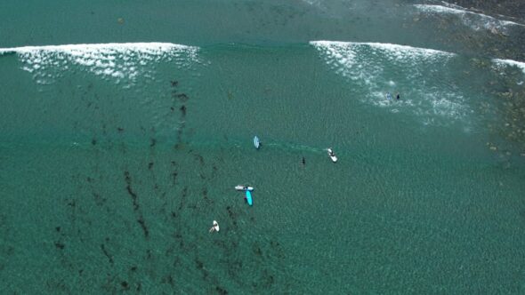 Surfers Ocean Water