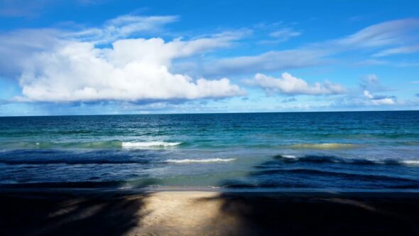 Beach Coast Ocean