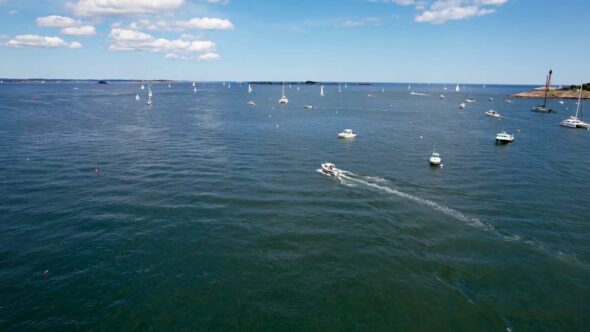 Harbor Boats Sailing