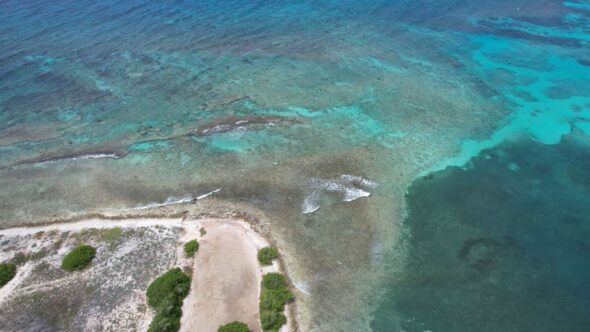 Beach Aerial Coast