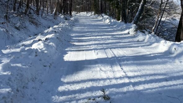 Snow Winter Trail