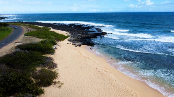 Tropical Beach Coast