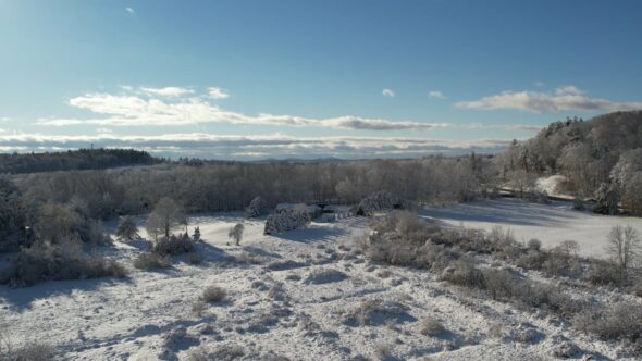 Snow Northern Landscape