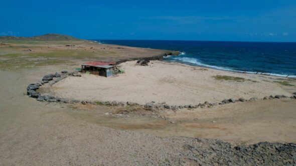 Tropical Beach Coast