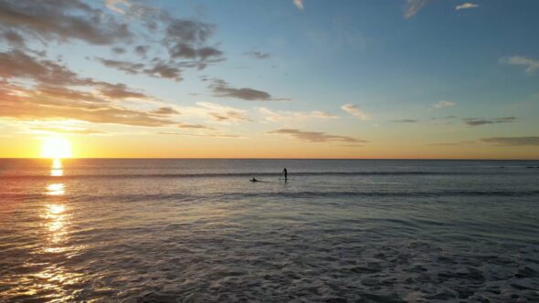 Ocean Surfing Sport