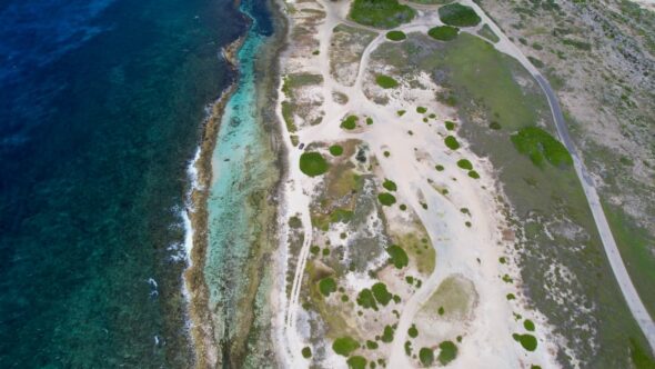 Tropical Island Coast