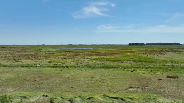 Grassy Field Landscape