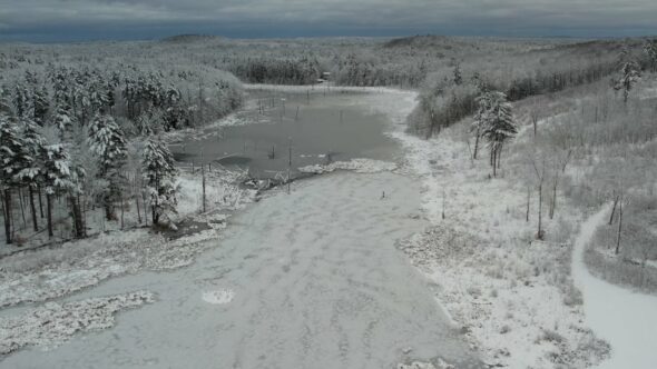 Snow Winter Landscape